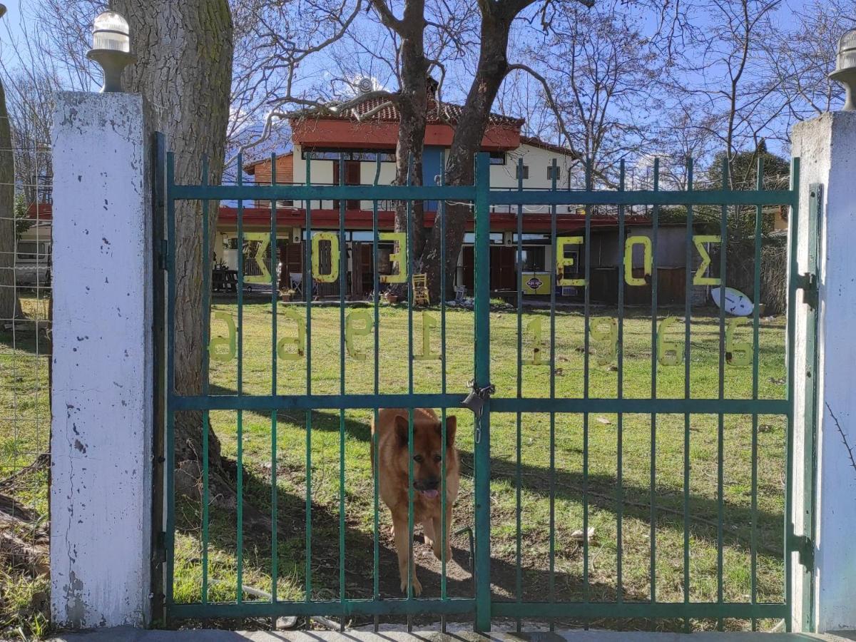 Summit Zero Hostel Плака-Літохоро Екстер'єр фото